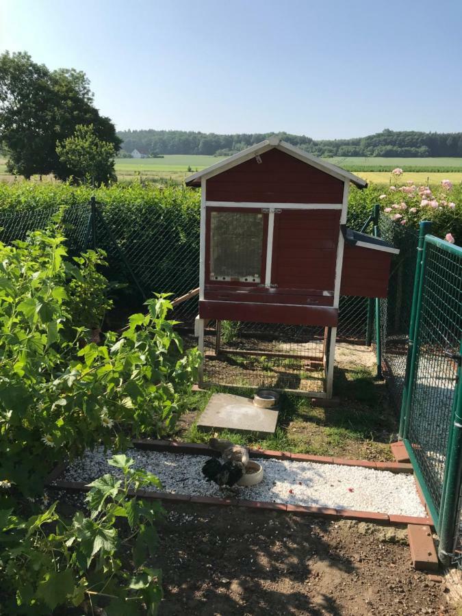 Ferienwohnung Landart Hilter Eksteriør billede